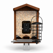 Mangeoire pour oiseaux avec caméra